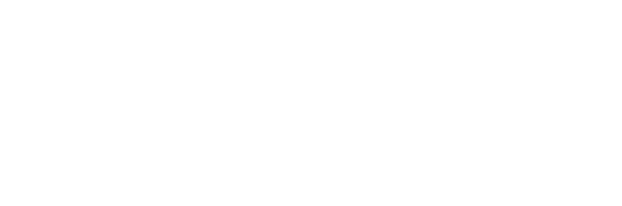 Session Drummer Client Logo Paiste